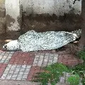 Dead body found at Banjara Hills footpath in Hyderabad