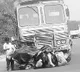 Fatal road accident in Mahbubnagar district