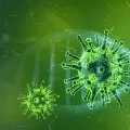 Two dies of Corona Virus in Telangana