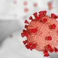 India reports 12584 new COVID19 cases