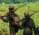 Firing at Andhra and Odisha border