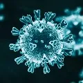 AP Corona Virus spreading statistics
