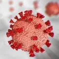 India reports 12899 new COVID19 cases