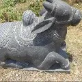 Nandi Idol destroyed in Chittoor district