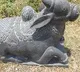 Nandi Idol destroyed in Chittoor district