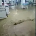 Rainwater entered the emergency ward