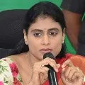 TRS high command orders its cadre not post any comments on YS Sharmila