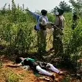 Nara Lokesh reacts over Sneha Latha murder in Ananthapur district