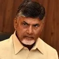 chandrababu fires on ap govt