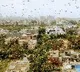 Locusts moves towards national capital region