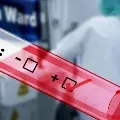 new 2011 coronavirus cases in telangana