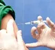 All states to begin dry run for Covid19 vaccination from January 2