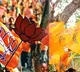 It is not correct to verbal attack on police Janakula Srinivasarao