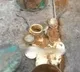 Gold coins found in Srisailam construction works