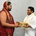 Visakha Swami Swatmanandendra Saraswathi meets Jagan