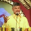 Chnadrababu demands DGP take immediate action