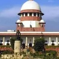 UP Cant Cut Trees for Lord Krishna ordered Supreme Court