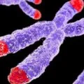 Israel scientists interesting study on elder people