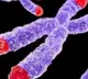 Israel scientists interesting study on elder people