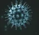 Twelve people died in Guntur district due to corona virus