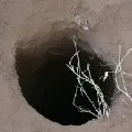 Three Year old boy accidentally fell into borewell