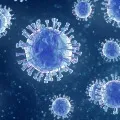 Telangana govt taken steps amid new corona virus strain