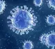 Telangana govt taken steps amid new corona virus strain