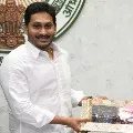 AP Government signs MoU with Amul