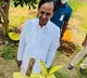 KCR planted Rudraksha sapling