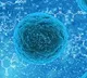 Corona virus defends antibodies with spike protein