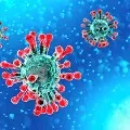 Research says antibodies last only two three months in corona recovered persons
