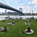 New York witnessed first time hundred below covid fatalities