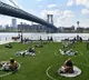 New York witnessed first time hundred below covid fatalities