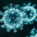 Huge recovery in Andhra Pradesh from corona pandemic