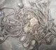 Large number of snakes was captured in a house