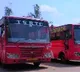 TSRTC Announce Special busses to AP and Telangana