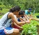 Every student in Phillippines must plant ten trees towards graduation as per new law