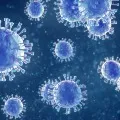 coronavirus came from China lab china virologist