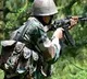 Two Terrorists killed in Anantnag encounter