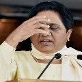 Six BSP Rebal MLAs with draw support to party rajyasabha candidate