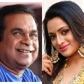 Brahmanandam takes Udayabhanus challenge