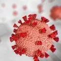 India reports 11067 new COVID19 cases