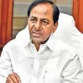 happy sankranti wishes from kcr chiru
