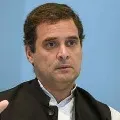Cowardice allowed China to take our land Rahul Gandhi