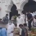 Honeybees attacks on Chiranjeevi and Ram Charan