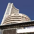 Markes ends in profits