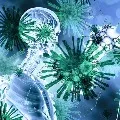 new 635 COVID19 infections in telangana