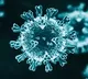 No severe spreading of corona virus in AP