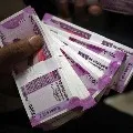 Savera Agency cheated a man Rs 20 lakhs