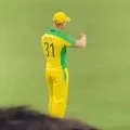 david warner dances again for butta bomma song